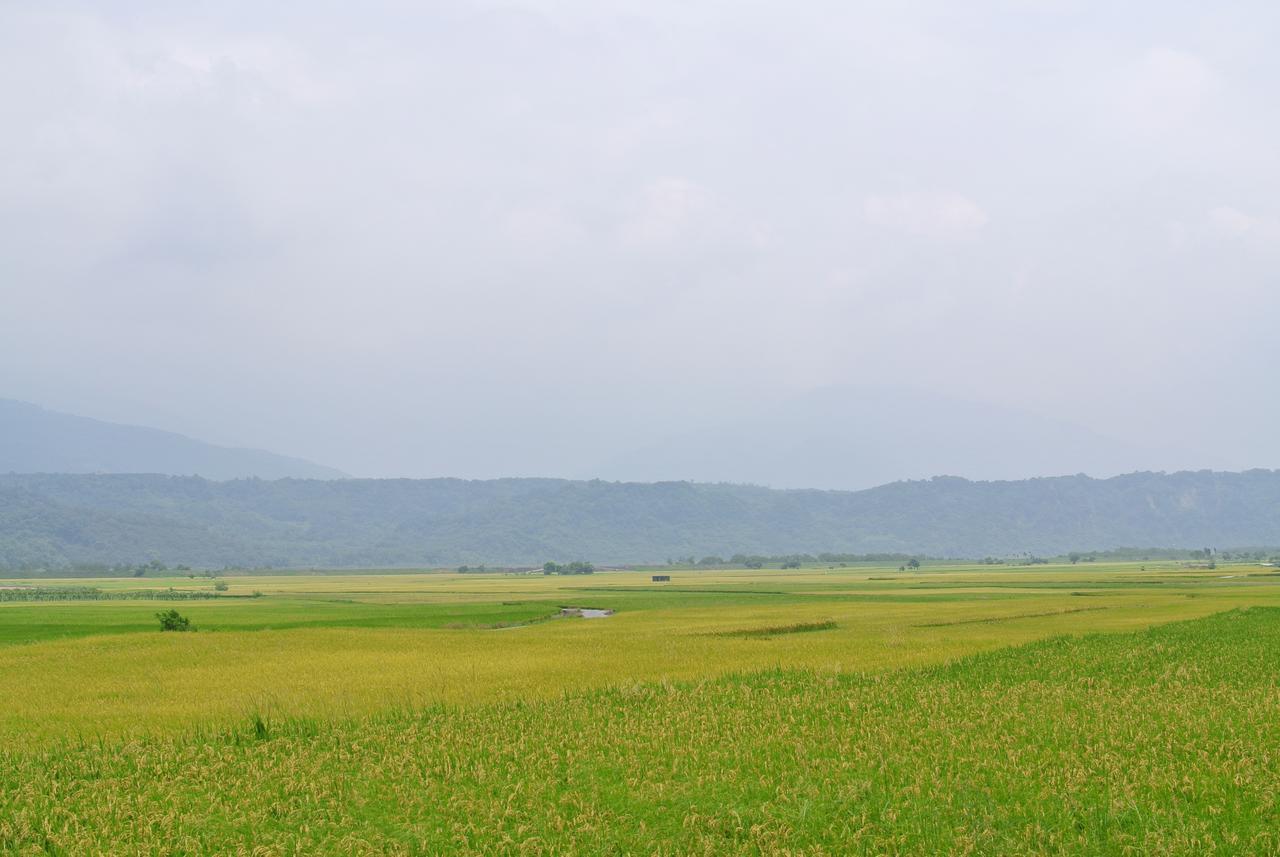 Pu Shi Homestay Юйлі Екстер'єр фото